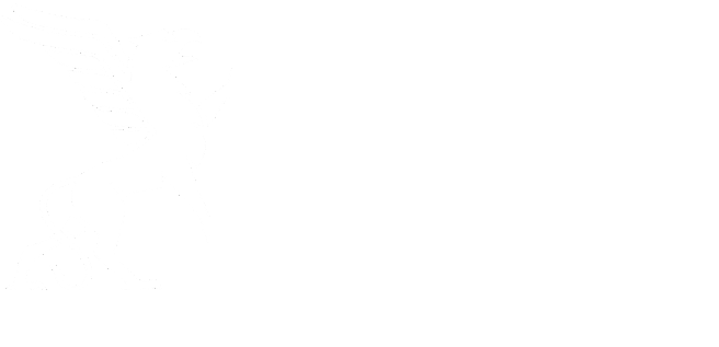 Logo der Verkehrswache Südbaden e.V.